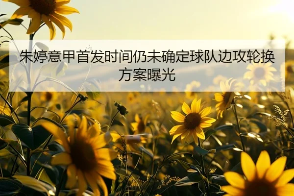 朱婷意甲首发时间仍未确定球队边攻轮换方案曝光